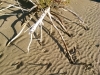 walking on the sand on a sunny day...